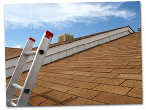 image of ladder leaning on a roof